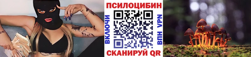 Купить  Гдов  Галлюциногенные грибы Psilocybine cubensis 